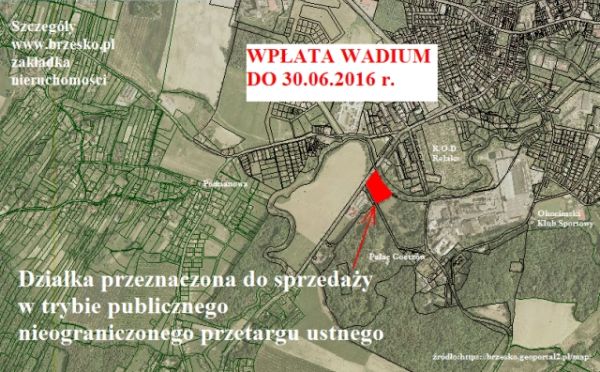 Przetarg ustny na sprzedaż zabudowanej murem ogrodzeniowym oraz piwnicą - „lodownią” nieruchomości 