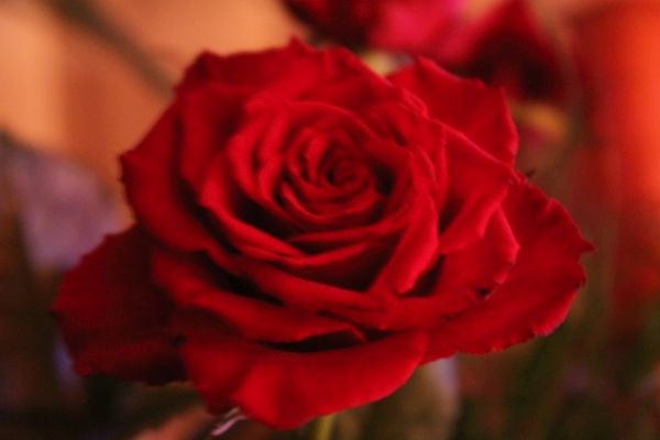 Życzenia dla strażaków z okazji ich święta