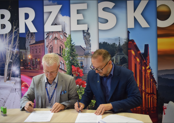 Droga do strefy aktywności gospodarczej