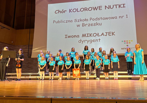 Srebrne Pasmo dla Kolorowych Nutek