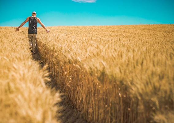 X edycja konkursu „Polska wieś – dziedzictwo i przyszłość”