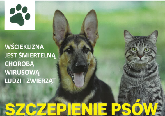 UWAGA WŁAŚCICIELE PSÓW!!!