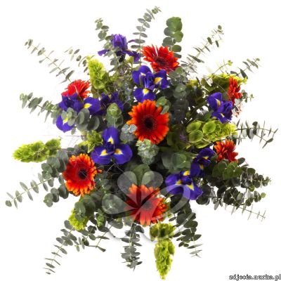 Jutro Dzień Sołtysa