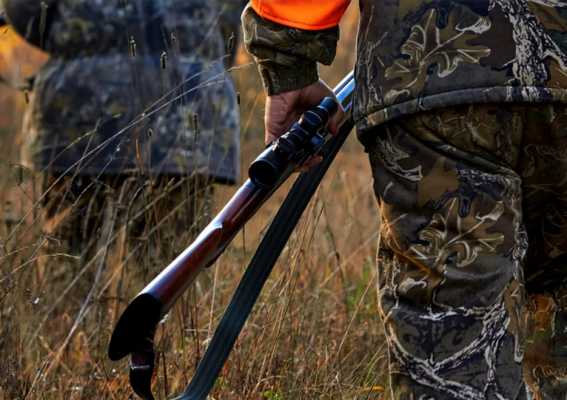 Jak skutecznie wnioskować o odszkodowanie za szkody łowieckie