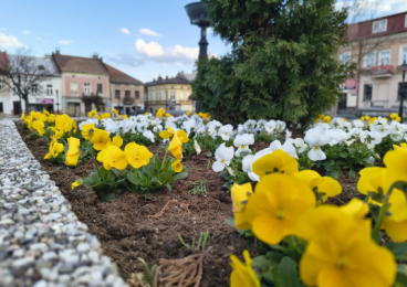 Wiosenne upiększanie miasta