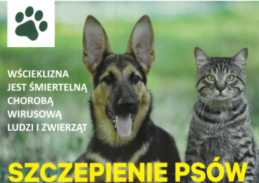UWAGA WŁAŚCICIELE PSÓW!!!