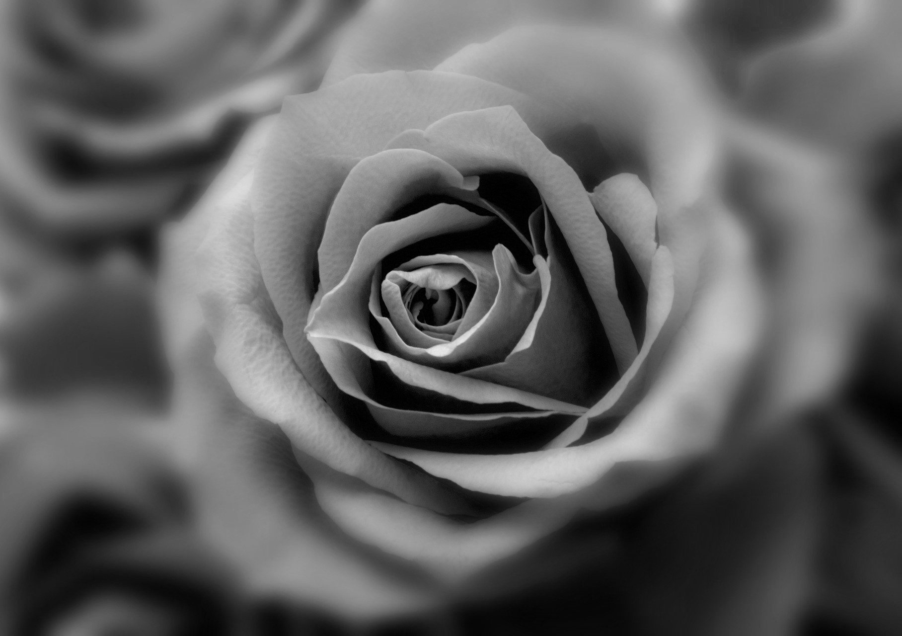 Zmarł Zbigniew Tryczyński