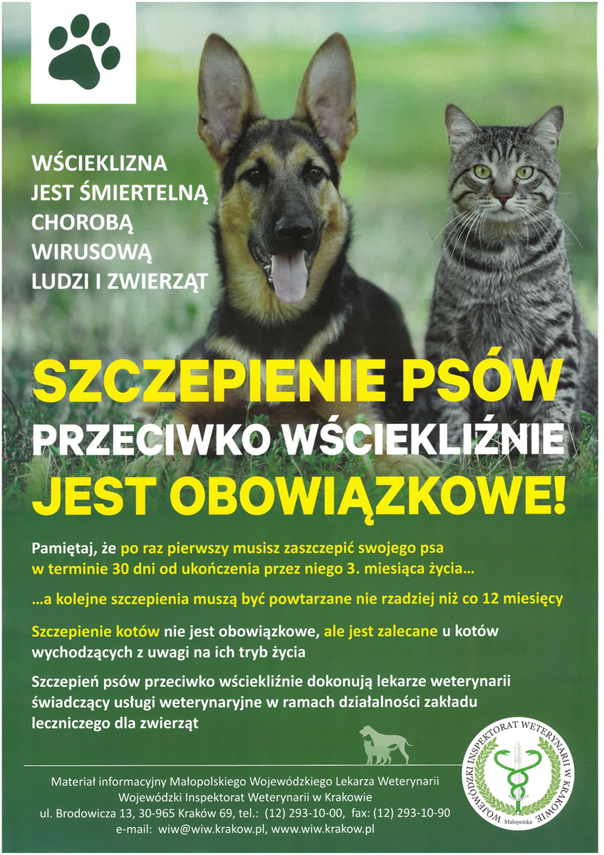 wscieklizna-pages-to-jpg-0001.png