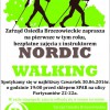 Nordic Walking - plakat