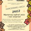 akcja-znicz1